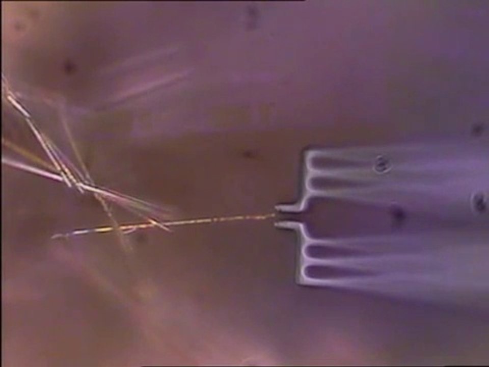 Grabbing a silicon nanowire