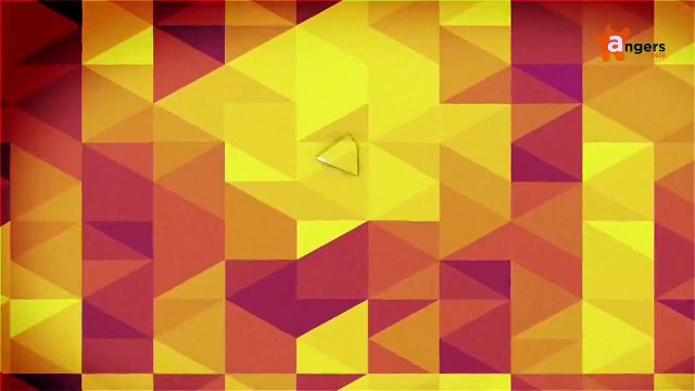 PAROLES D'ASSOS 2014 [S.1] [E.14] - Paroles d'Assos du 16/04 - Tremplin Travail