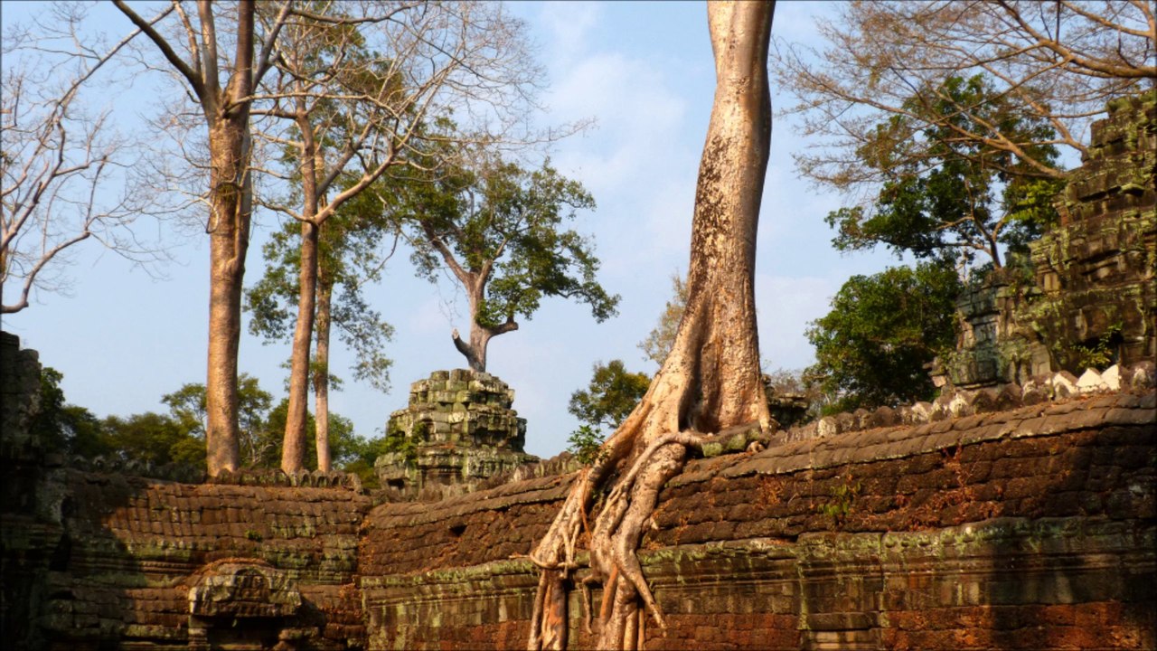 Cambodge - ANGKOR - Ta Prohm