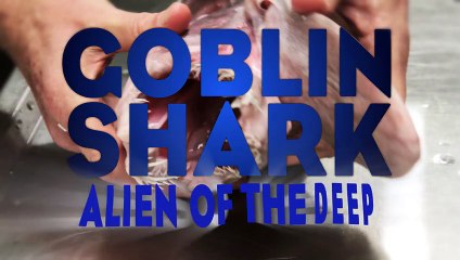 Ils ont pêché un alien des abîmes ! Regardez cette incroyable bête