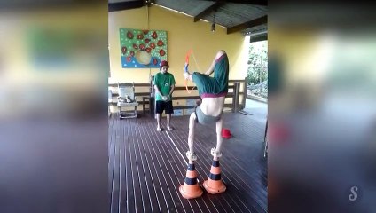 Cette femme tire à l'arc avec ses pieds mais ce n'est pas tout ! Bluffant !