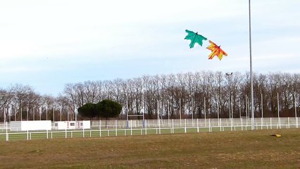 Test cerf-volant 4 lignes maison