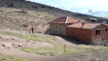 Arazide El Bombası ve Tnt Bulundu