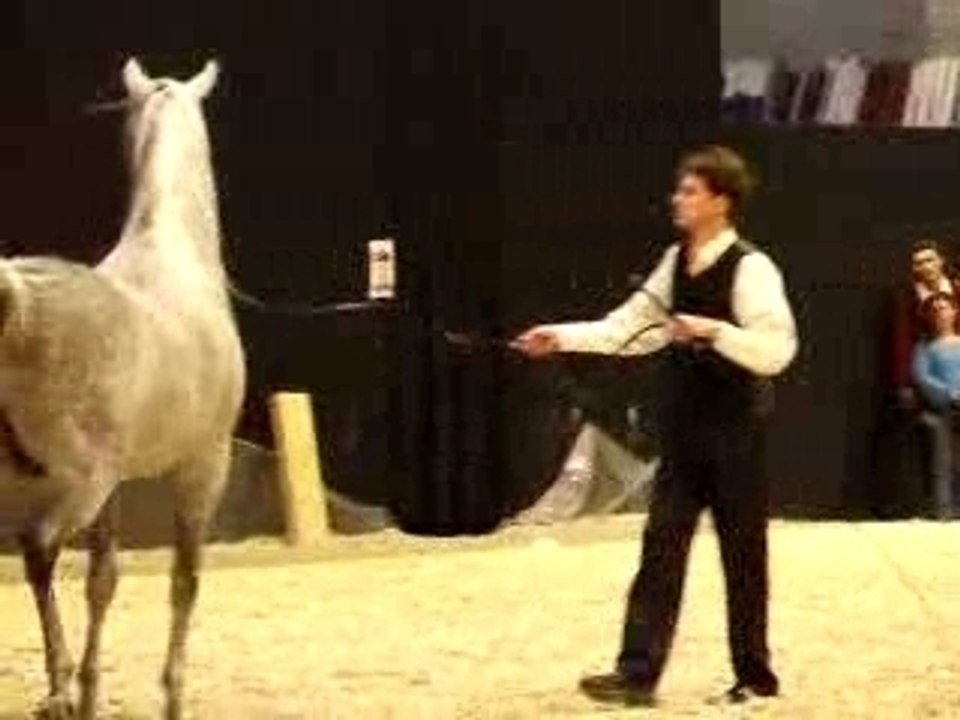 Salon du Cheval 2006