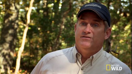 Dangerous Encounters - Backyard Monsters_ Cobra in a Cooler