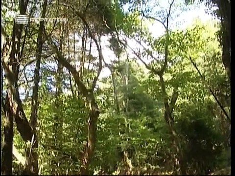 A Alma e a Gente - II #41 - Os Pobres de Raúl Brandão - 09 Out 2004