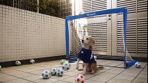 This Dog Got Awesome Skills