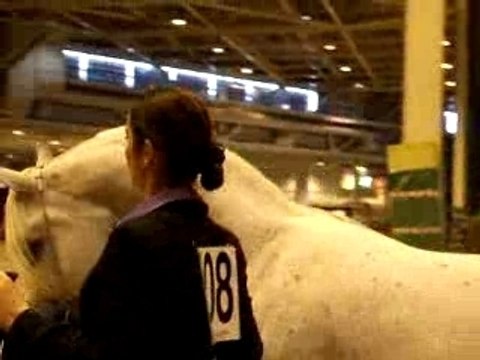 Salon du Cheval 2006
