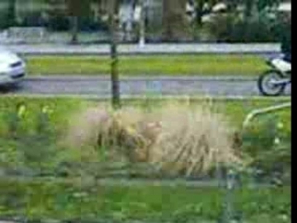 VID001