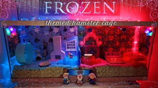 FROZEN Themed Hamster Cage (Dwarf Hamster Sisters!)