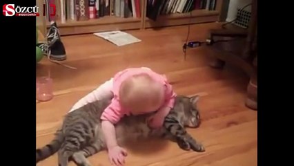 Kedideki sabır kimsede yok!