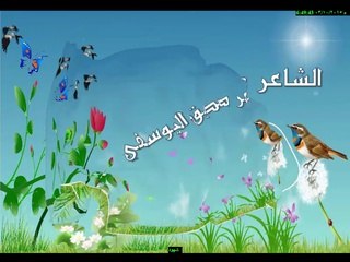 شهود عيان