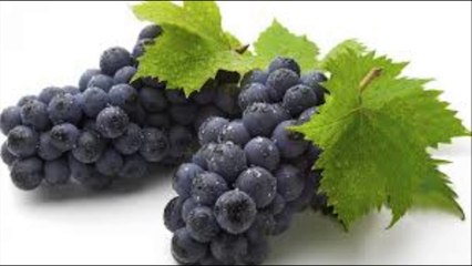 SURAT Al REHMAN 55 ( Hani Rifai ) سورہ الرحمن