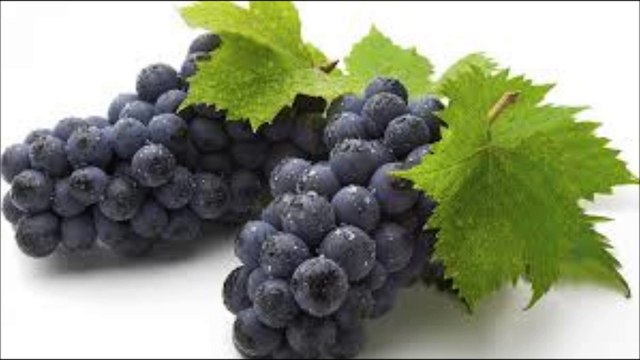 SURAT Al REHMAN 55 ( Hani Rifai ) سورہ الرحمن