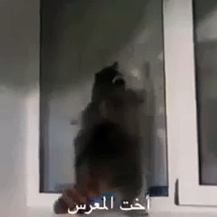 funny