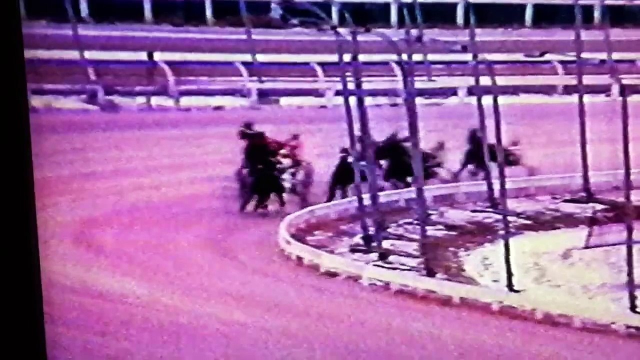 Cam Fella's final race