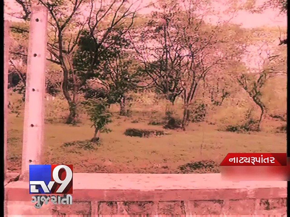 Auto driver held in Aarey Colony rape case , says he was drunk at the time - Tv9 Gujarati