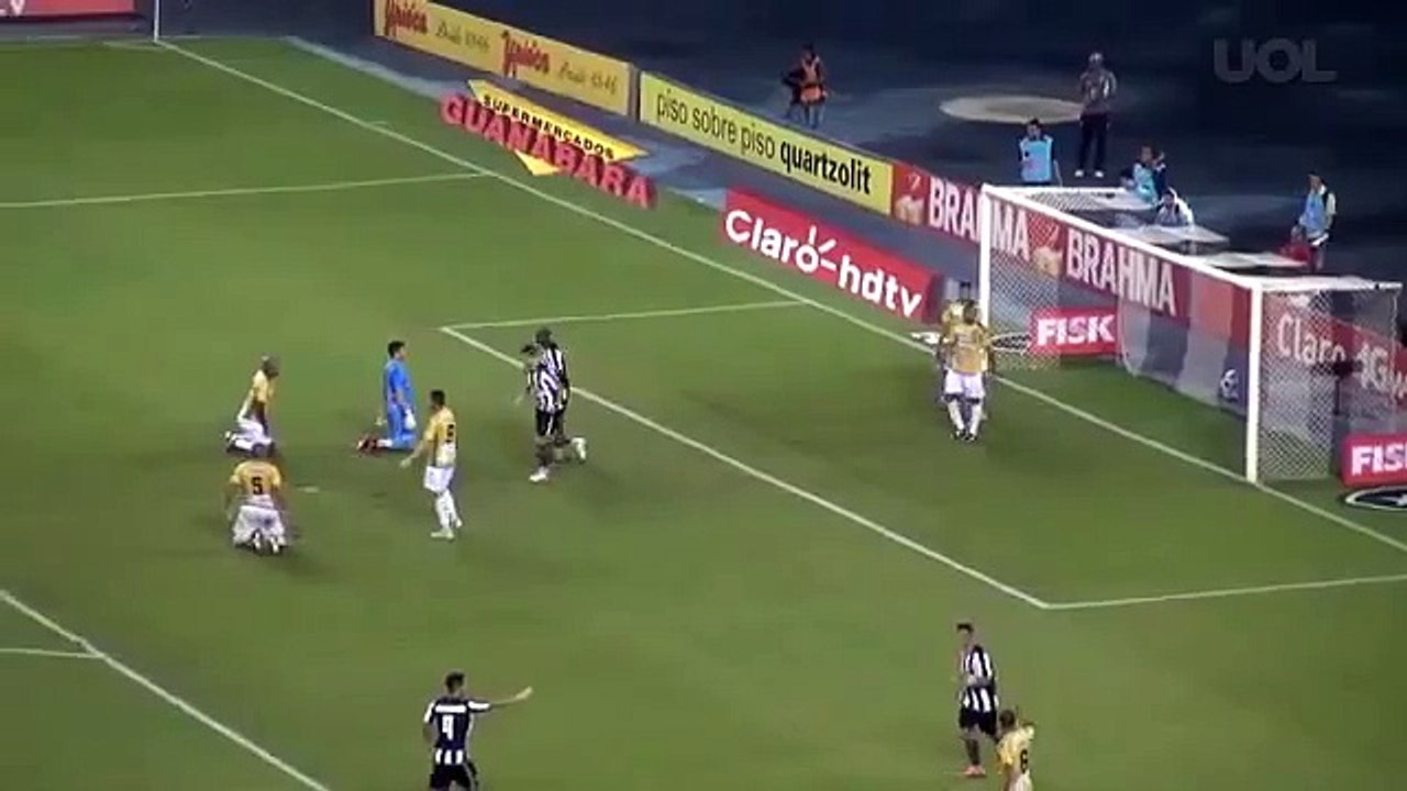 Botafogo  VS  Tigres do Brasil -3 x 0 -Gols- Carioca 2015‬ - HD