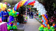 Best Birthday Party Decorator in Chandigarh Panchkula Moahli |Amy Events