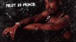 Tupac To Live or Die in L.A. Lyrics and Download