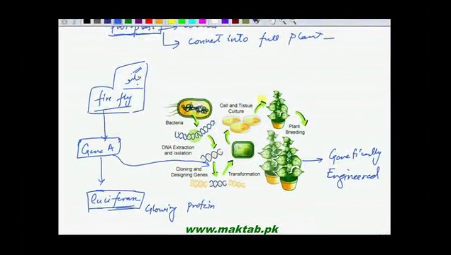 FSc Biology Book2, CH 23, LEC 14, Genetic Engineering in plants