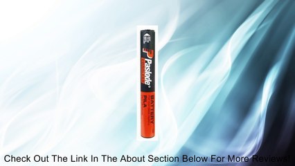 Paslode Paslode Stick Battery 402500 Power Nails Staples & Screws Review
