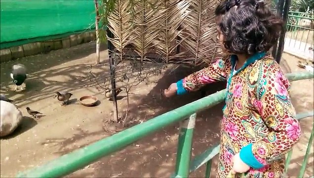 NABIHA VISIT TO BIRD AVIARY AND LAKE VIEW PARK ISLAMABAD