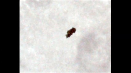 Moon Mystery Vehicle. Link under my YT Video. HD