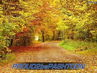 ♥Pashto Song....Sardar Ali Takkar....Tapay.