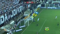 Gols Santos 2 x 1 Palmeiras - Paulista 2015‬ - HD
