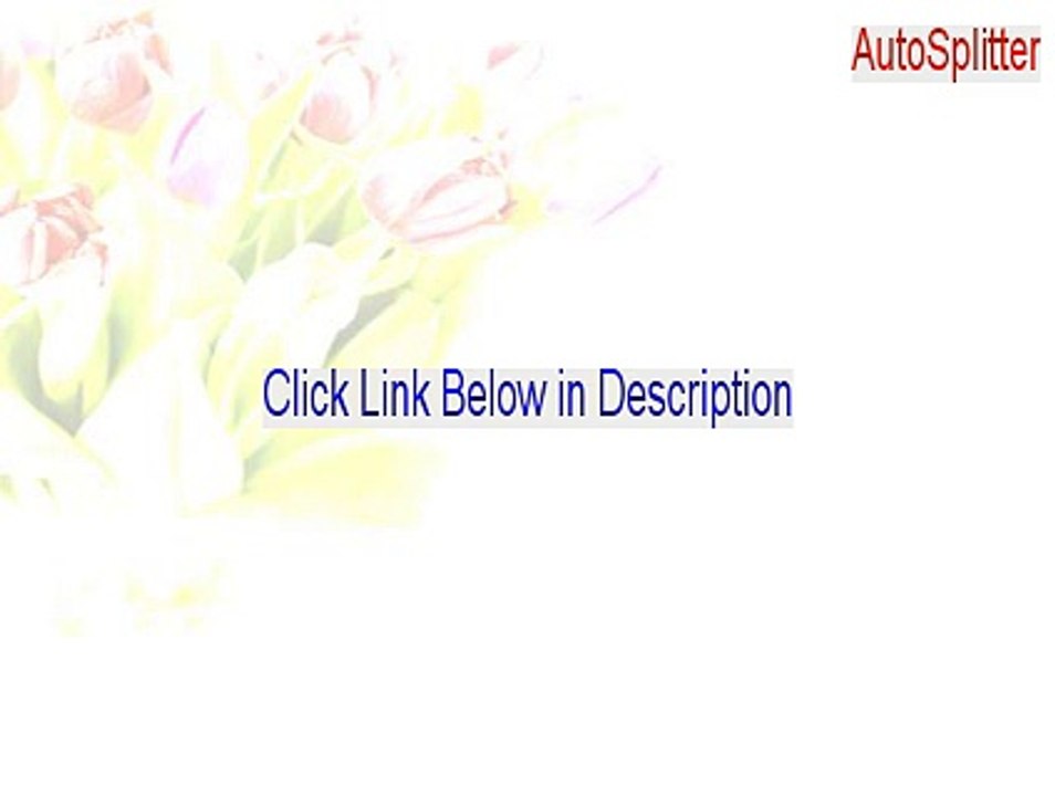 AutoSplitter Serial (Instant Download)