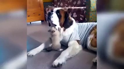 Enough is enough !!!