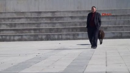 Erzurum Kurallara Uyan Kuzular