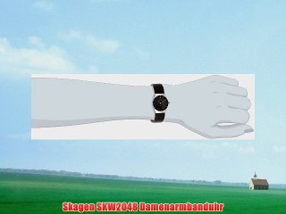 Skagen SKW2048 Damenarmbanduhr