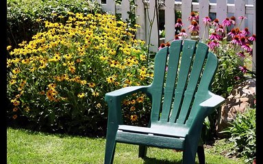 Best Gardening Trends For Your Garden