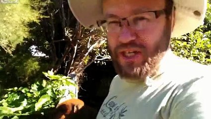 How to retrieve your ball from the neighbor 39