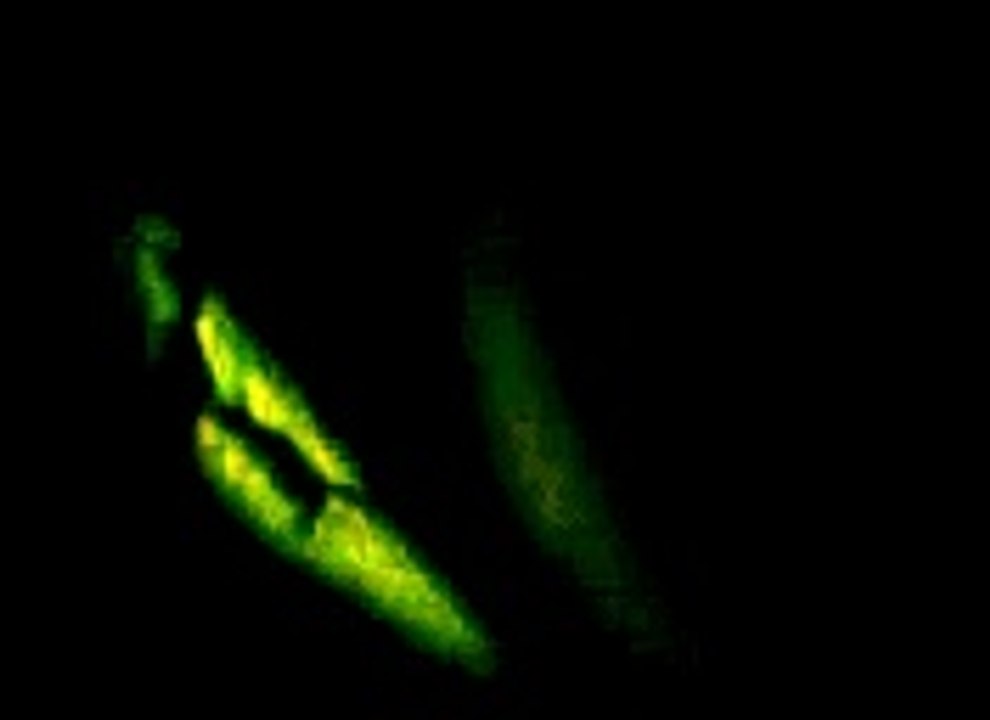 Majlis topic fazool qarchi 2013