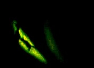 Majlis topic fazool qarchi 2013