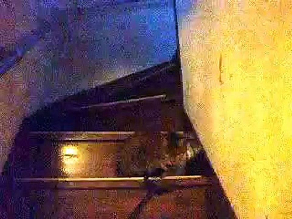 マジックハンドで猫を追う　ＰＡＲＴ２　（ねこ、ネコ、ペット、動画、動物）