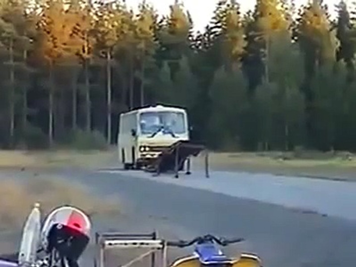 ⁣amzing bus viling