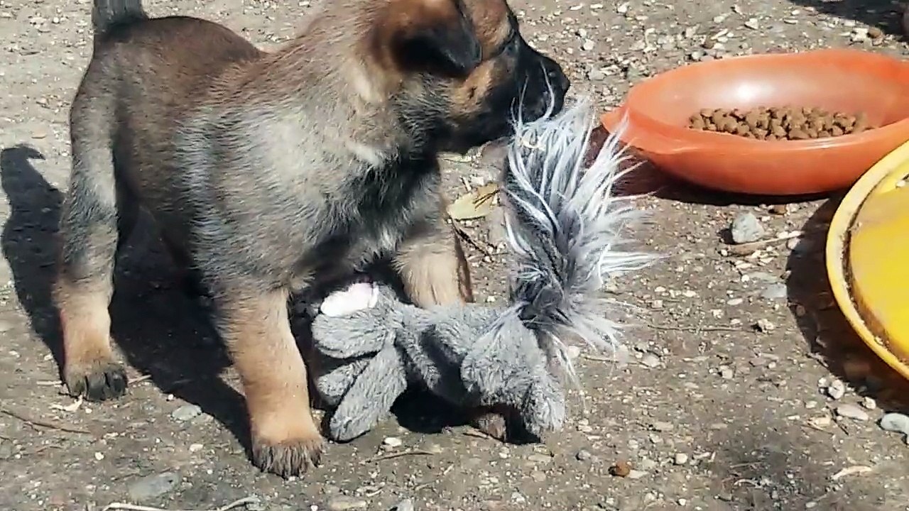 Be Aware H's @ Armes Eichhörnchen!