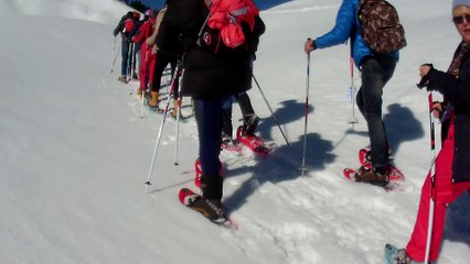 Cyclopains à raquettes