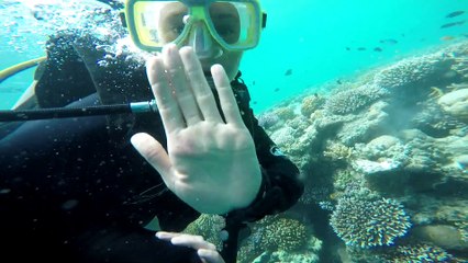 Scuba Diving in Great Barrier Reef