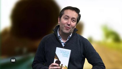 Un parfum d'herbe coupée de Nicolas Delesalle