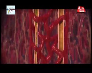 Abb Takk - Package Kidney Day Onair 12-03-2015