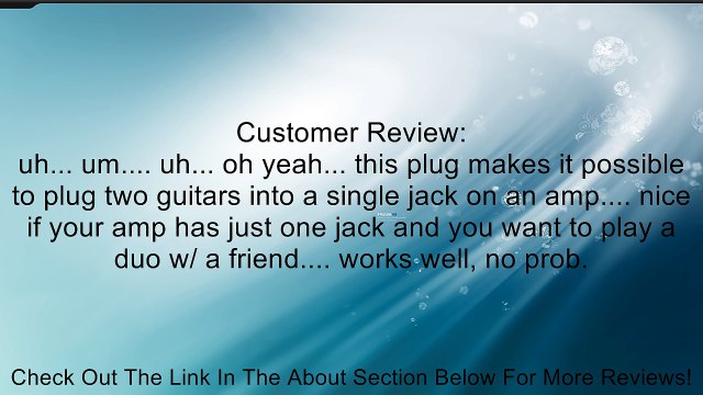 Hosa YPP111 1/4 inch TS Male to Dual 1/4 inch TS Female Y Cable Review