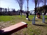 Zeus & alexandre entrainement du 7 mars 2015