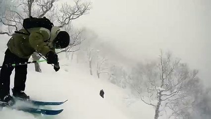 Skier Crashes Into Tree