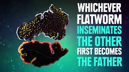 8 Crazy Science Facts You Won t Learn In School