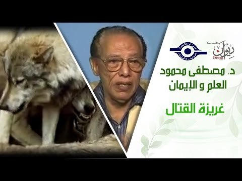 د. مصطفى محمود - العلم والإيمان - غريزة القتال